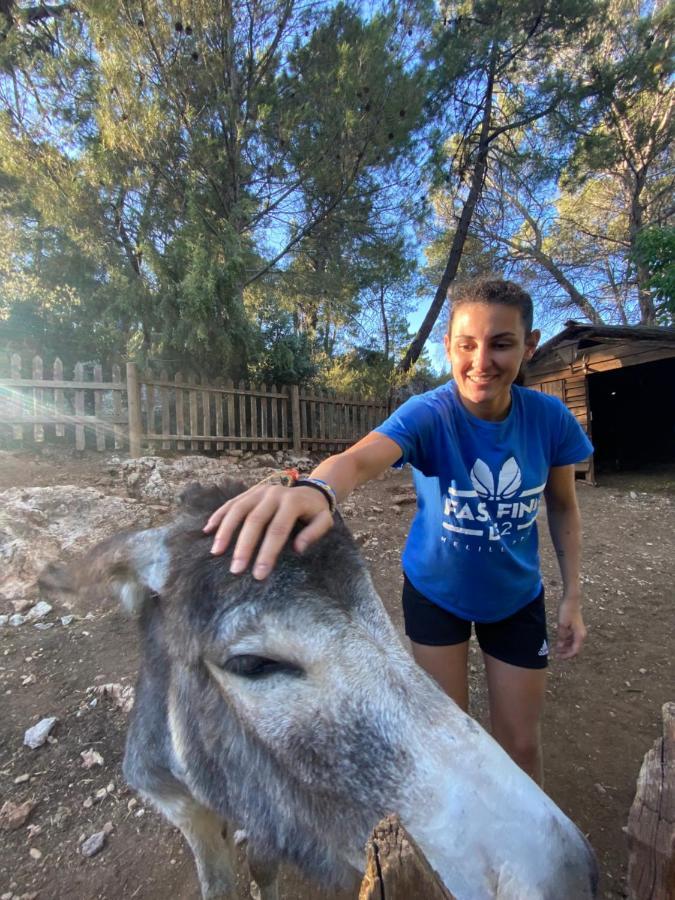 Alojamiento Rural Las Maravillas Cañada Catena Екстериор снимка