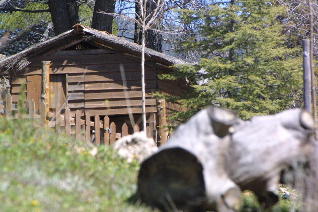 Alojamiento Rural Las Maravillas Cañada Catena Екстериор снимка